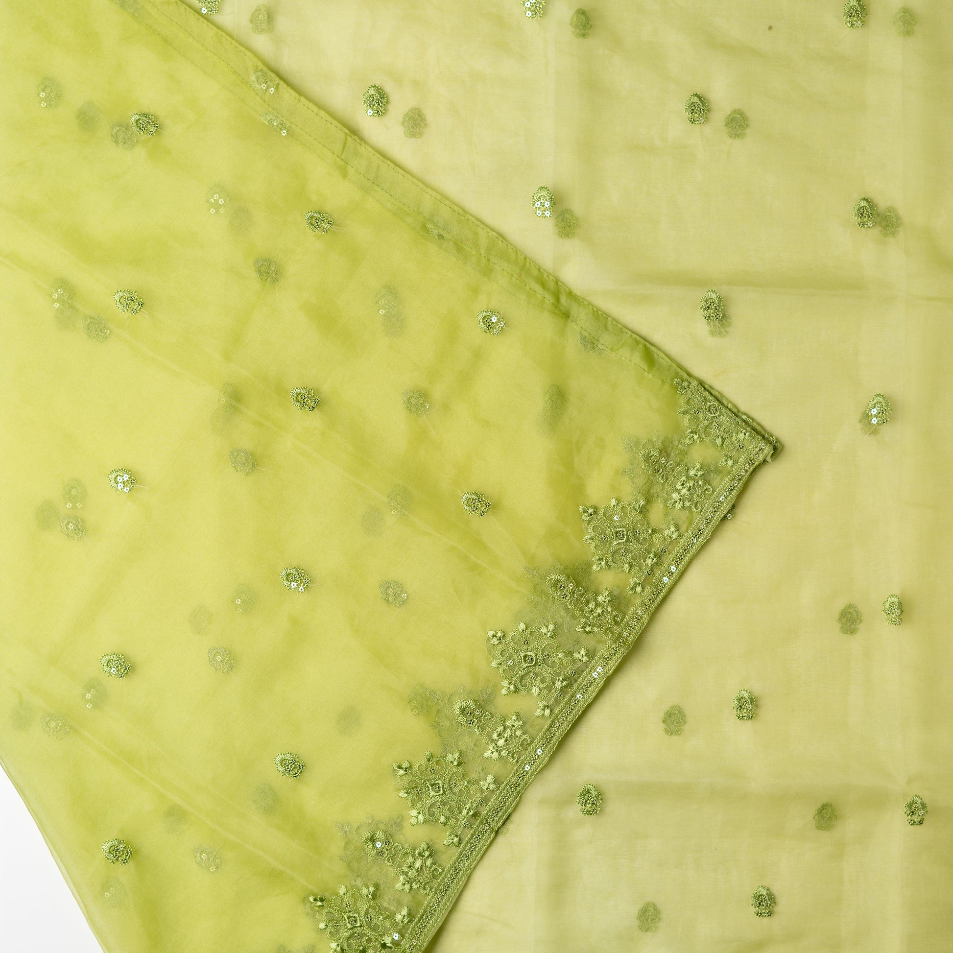 Tissue silk dupatta with elegant embroidery and sequins work all over dupatta and at the borders.